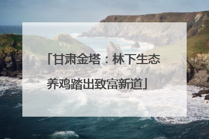 甘肃金塔：林下生态养鸡踏出致富新道