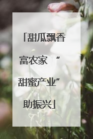 甜瓜飘香富农家 “甜蜜产业”助振兴