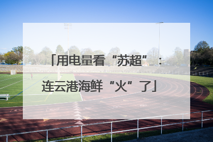 用电量看“苏超”：连云港海鲜“火”了