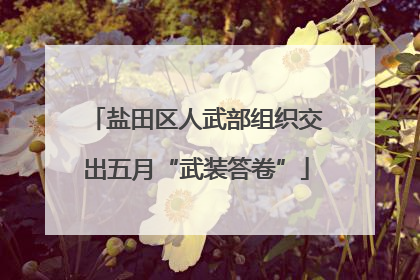 盐田区人武部组织交出五月“武装答卷”