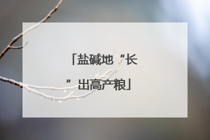 盐碱地“长”出高产粮