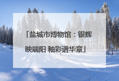 盐城市博物馆：银辉映端阳 釉彩谱华章