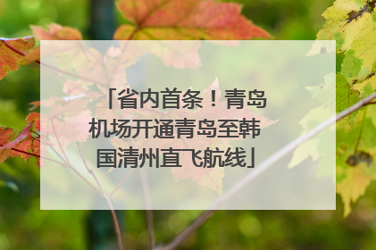 省内首条！青岛机场开通青岛至韩国清州直飞航线