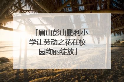 眉山彭山鹏利小学让劳动之花在校园绚丽绽放