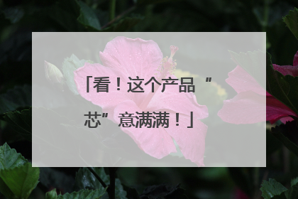 看！这个产品“芯”意满满！