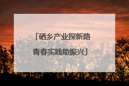 硒乡产业探新路 青春实践助振兴
