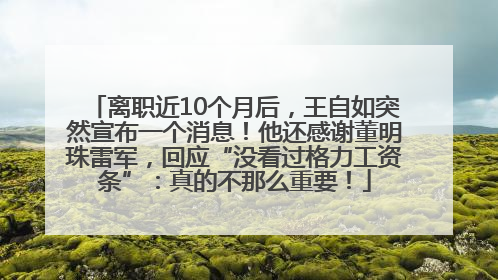 离职近10个月后，王自如突然宣布一个消息！他还感谢董明珠雷军，回应“没看过格力工资条”：真的不那么重要！
