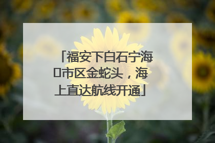 福安下白石宁海⇆市区金蛇头，海上直达航线开通