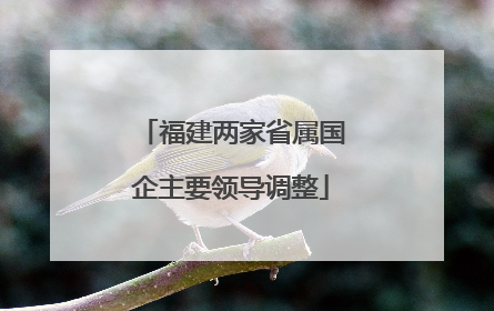 福建两家省属国企主要领导调整