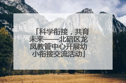 科学衔接，共育未来——北碚区龙凤教管中心开展幼小衔接交流活动