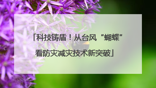 科技铸盾！从台风“蝴蝶” 看防灾减灾技术新突破