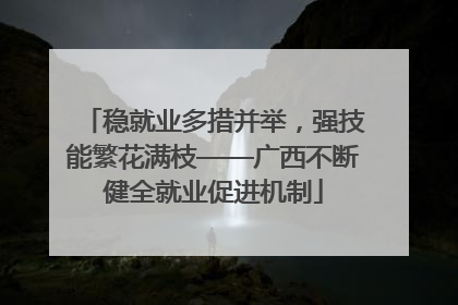 稳就业多措并举，强技能繁花满枝——广西不断健全就业促进机制