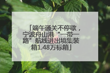 端午通关不停歇，宁波舟山港“一带一路”航线进出境集装箱1.48万标箱