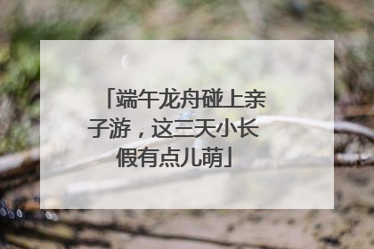 端午龙舟碰上亲子游，这三天小长假有点儿萌