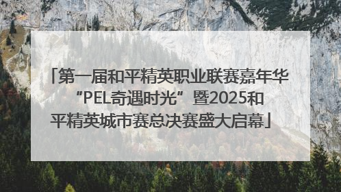 第一届和平精英职业联赛嘉年华“PEL奇遇时光”暨2025和平精英城市赛总决赛盛大启幕