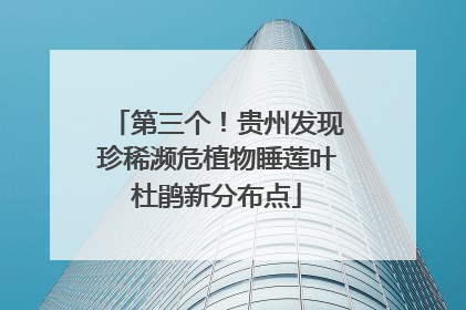 第三个！贵州发现珍稀濒危植物睡莲叶杜鹃新分布点