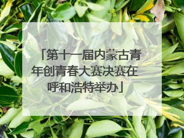 第十一届内蒙古青年创青春大赛决赛在呼和浩特举办
