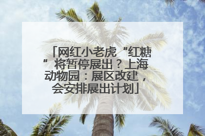 网红小老虎“红糖”将暂停展出？上海动物园：展区改建，会安排展出计划