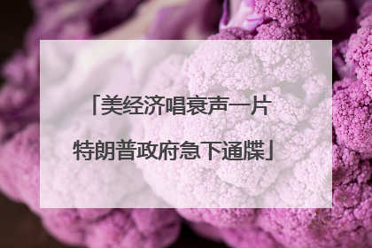 美经济唱衰声一片 特朗普政府急下通牒