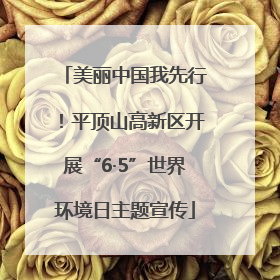 美丽中国我先行！平顶山高新区开展“6·5”世界环境日主题宣传