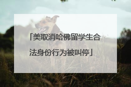 美取消哈佛留学生合法身份行为被叫停
