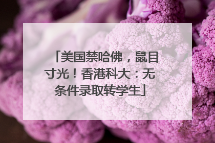 美国禁哈佛，鼠目寸光！香港科大：无条件录取转学生