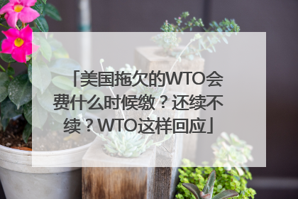 美国拖欠的WTO会费什么时候缴？还续不续？WTO这样回应