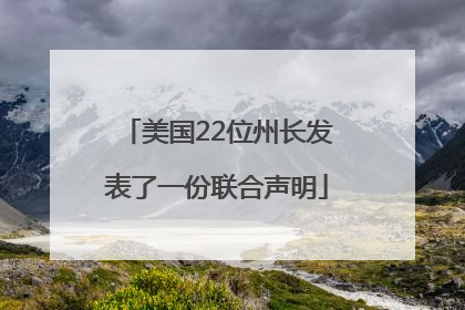 美国22位州长发表了一份联合声明
