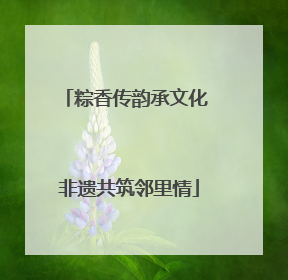 粽香传韵承文化 非遗共筑邻里情