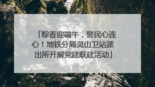 粽香迎端午，警民心连心！地铁分局灵山卫站派出所开展党建联建活动