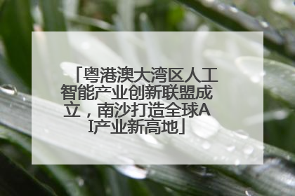 粤港澳大湾区人工智能产业创新联盟成立，南沙打造全球AI产业新高地