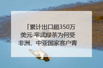 累计出口超350万美元 平武绿茶为何受非洲、中亚国家客户青睐？｜发布会观察