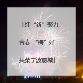 红“新”聚力青春 “梅”好共荣宁波慈城