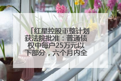 红星控股重整计划获法院批准：普通债权中每户25万元以下部分，六个月内全额现金清偿