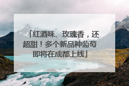 红酒味、玫瑰香，还超甜！多个新品种葡萄即将在成都上线