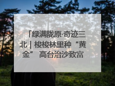 绿满陇原·奇迹三北｜梭梭林里种“黄金” 高台治沙致富很“从容”