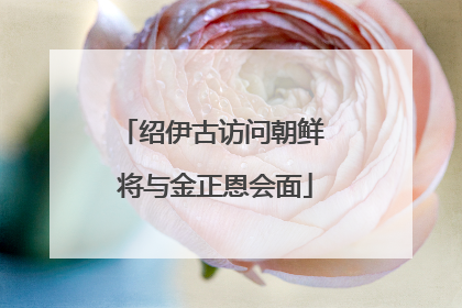 绍伊古访问朝鲜 将与金正恩会面