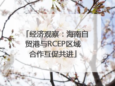 经济观察：海南自贸港与RCEP区域合作互促共进