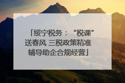 绥宁税务：“税课”送春风 三税政策精准辅导助企合规经营