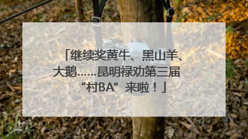 继续奖黄牛、黑山羊、大鹅……昆明禄劝第三届“村BA”来啦！
