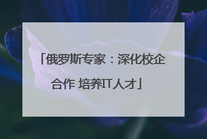 俄罗斯专家：深化校企合作 培养IT人才