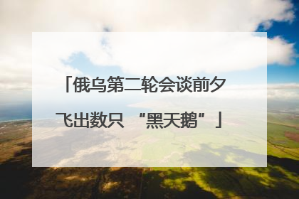 俄乌第二轮会谈前夕 飞出数只 “黑天鹅”