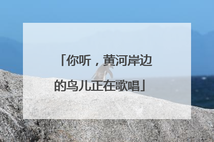 你听，黄河岸边的鸟儿正在歌唱