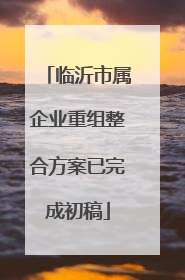 临沂市属企业重组整合方案已完成初稿