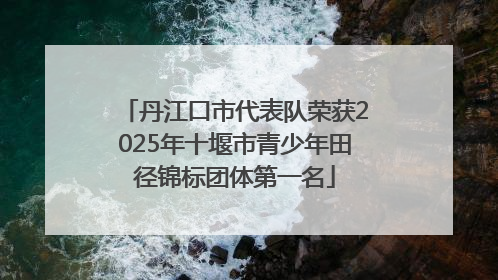 丹江口市代表队荣获2025年十堰市青少年田径锦标团体第一名