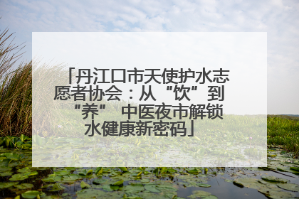 丹江口市天使护水志愿者协会：从“饮”到“养” 中医夜市解锁水健康新密码