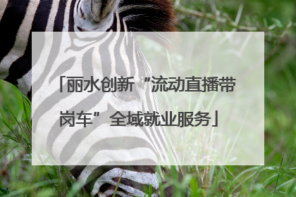 丽水创新“流动直播带岗车”全域就业服务