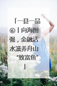 一县一品⑥丨向海图强，金融活水滋养舟山“致富鱼”
