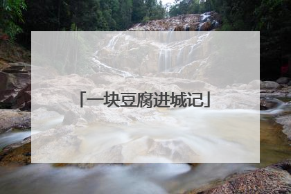 一块豆腐进城记