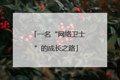一名“网络卫士”的成长之路